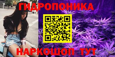 прущие крисы Пыть-Ях