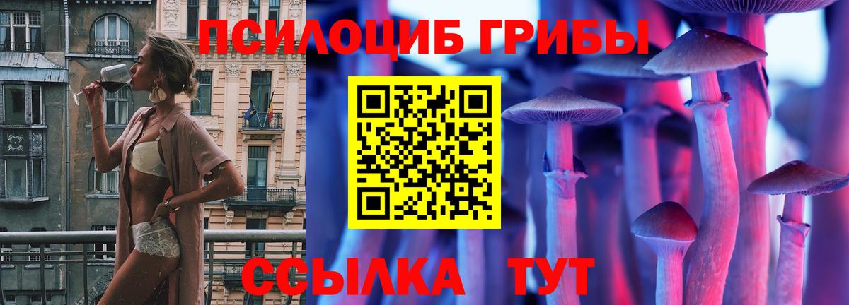 закладки  Псилоцибиновые грибы MAGIC MUSHROOMS  Вход с VPN  Псилоцибиновые грибы прущие грибы  Сухой Лог 